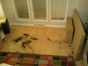 2011-11-21 22.31.28.jpg