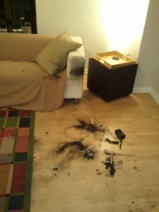 2011-11-21 22.31.39.jpg