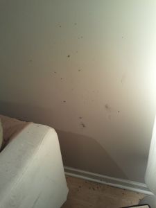 2011-11-21 22.33.45.jpg