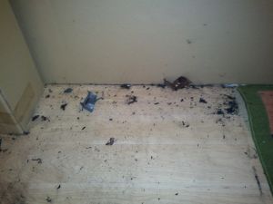 2011-11-21 22.33.57.jpg