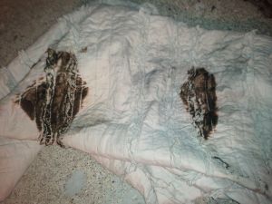 2011-11-21 22.37.44.jpg