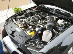 2011-06-06 10.59.01.jpg