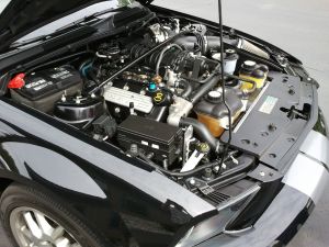 2011-06-06 10.59.30.jpg