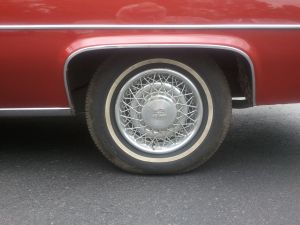 2011-06-06 11.48.31.jpg