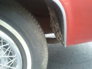 2011-06-06 11.48.45.jpg