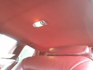 2011-06-06 11.49.48.jpg