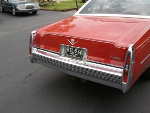 2011-06-06 11.50.31.jpg