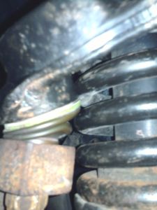 2010-08-09 11.49.36.jpg