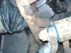 2010-08-09 11.50.44.jpg