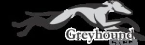 greyhoundlogo.header.jpg